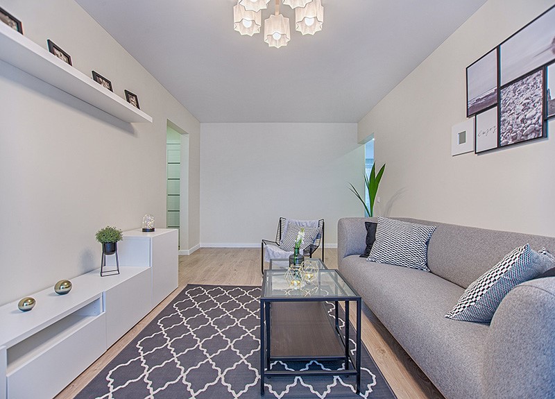 pexels-vecislavas-popa-1571469 pexels-vecislavas-popa-1571469