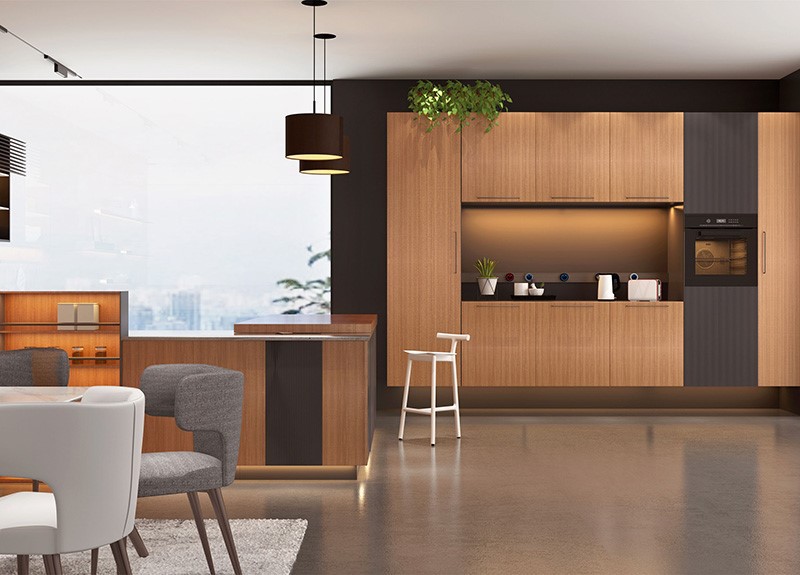 contemorary stylish kitchen cabinet contemorary stylish kitchen cabinet