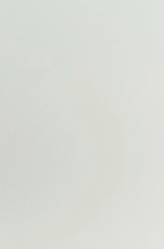 PM2010QY2303 PM2010QY2303