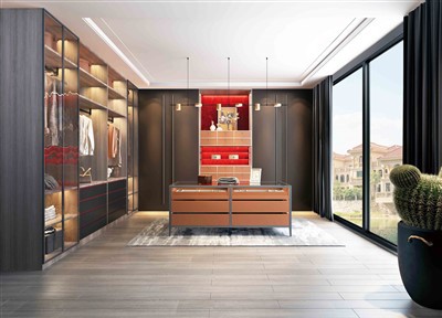 Elegant Luxury Taug kev hauv Closet