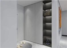 Grey Modern Entrance Txee